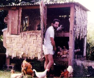 The key to raising chickens is getting them past the first few weeks.