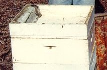 A top feeder can hold a lot of syrup.