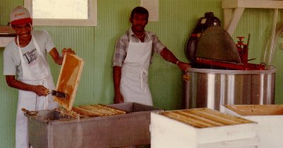 Deep frames were used in honey supers as well as brood boxes.