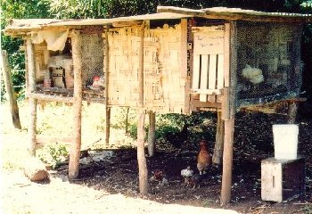 If you're reading this, my web host is too slow!!