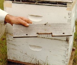 Mouse guard on an entrance reducer.