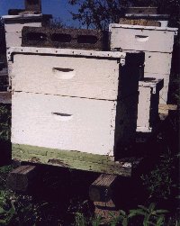 My equipment is used 'till it rots.