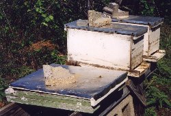 An old spare cover & bottom are worth having around!