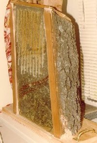 Logs that are naturally hollow can be cut with a circular saw and fitted with Plexiglas to make a wonderful observation hive.