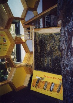 Excellent decor surrounds the hive.