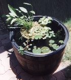 Half-barrel water source