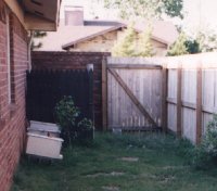 A fence provides protection to bees and people