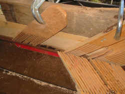 Walnut is a pliable, softer hardwood.